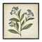 Stupell Industries Blue Buds Botanical Illustration Framed Giclee, design by Petal Prints Design